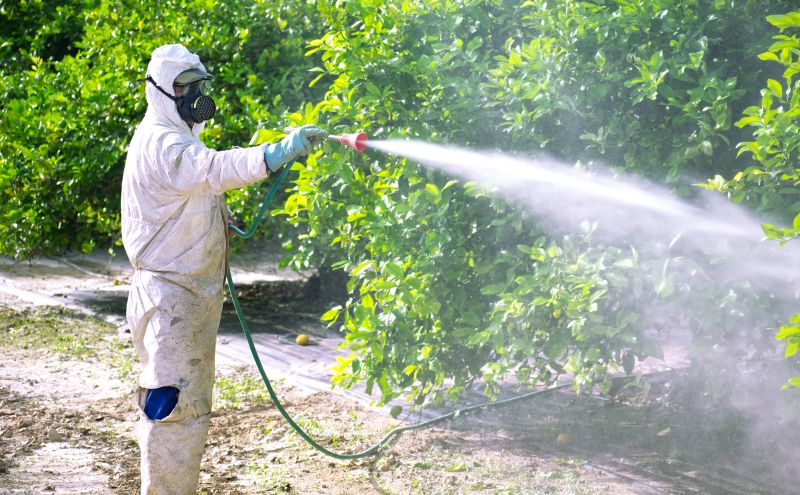 Commercial Fumigation in Fredericksburg, VA