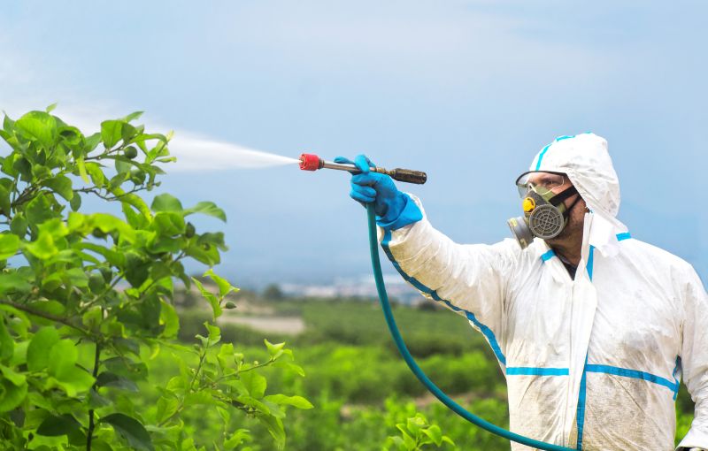 Commercial Fumigation in Coeur D Alene, ID