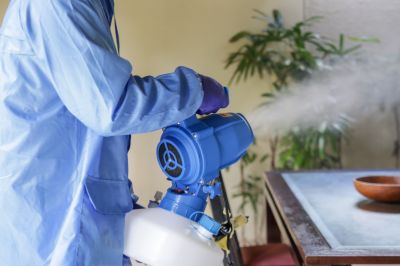 Fumigation Service in Phoenix, AZ