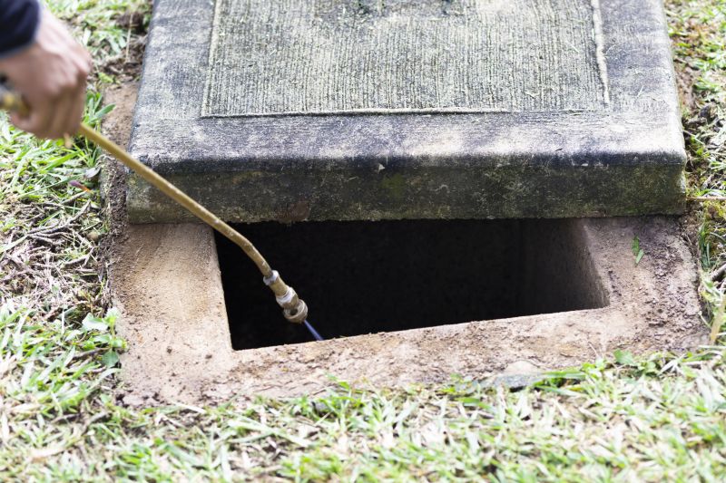 Rat Fumigation Service in Toledo, OH