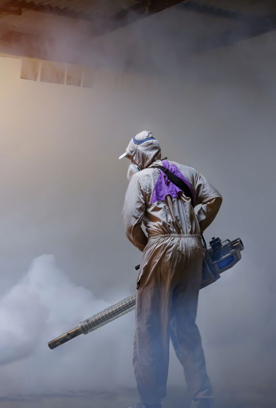 Roach Fumigation in Madison, WI