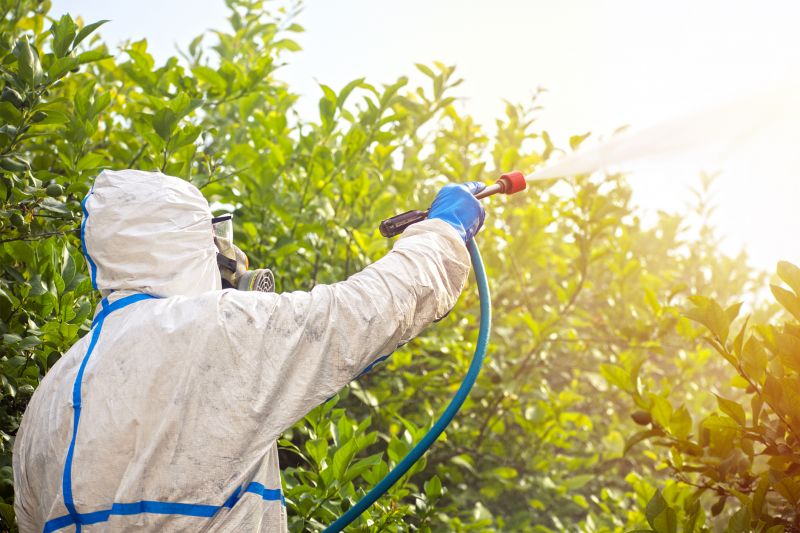 Commercial Fumigation in Tampa, FL