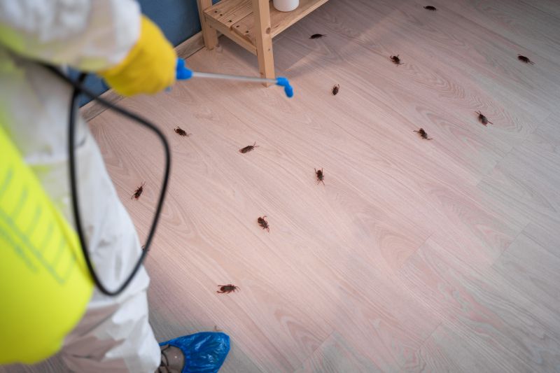 Health Risks Associated With Cockroaches Indoors