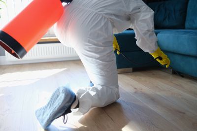 Rat Fumigation Service in Woodbridge, VA