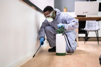 Residential Pest Control in Katy, TX