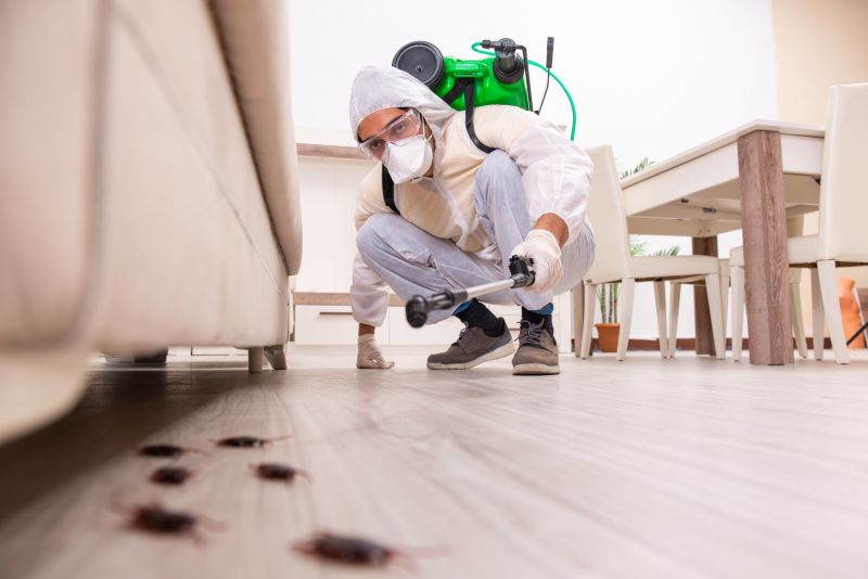 Spider Mite Extermination in Katy, TX