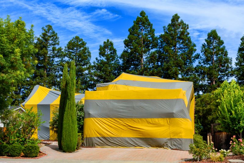 Termite Tenting in Fort Myers, FL